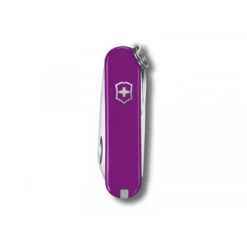 VICTORINOX - CLASSIC SD TASTY GRAPE